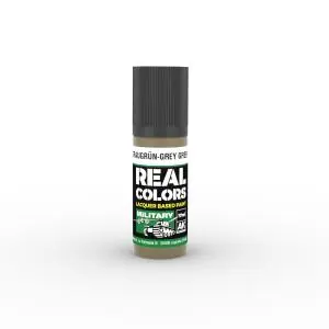 AK INTERACTIVE Real Colors Graugrün-Grey Green RAL 7008 17 ml. Offerta Speciale