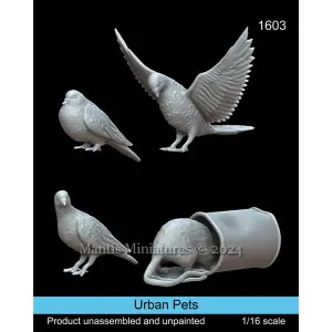 Compra Oggi Stesso MANTIS MINIATURES 1 16 Urban pets