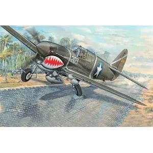 TRUMPETER 1 32 Curtiss P-40F Warhawk Offerta