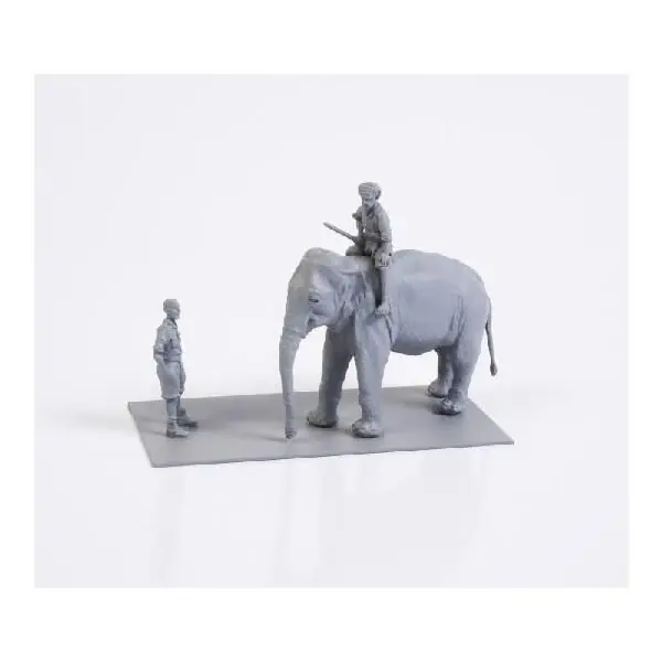 Meccanici RAF in India su Elefante Occasione