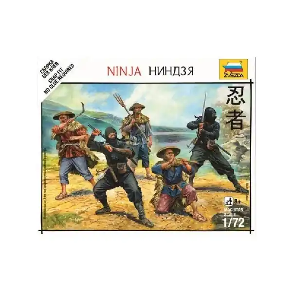 Subito Disponibile NINJA