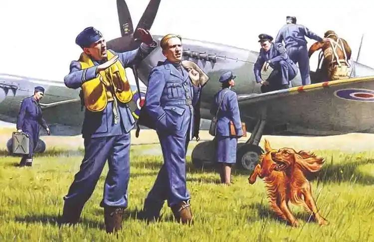 RAF Pilots and Ground Personnel Sconto