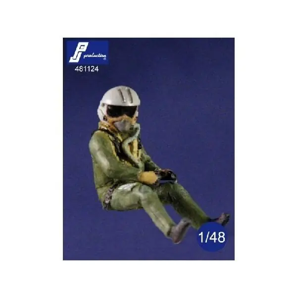 RAFALE PILOT SEATED IN A/C Vendita Finale