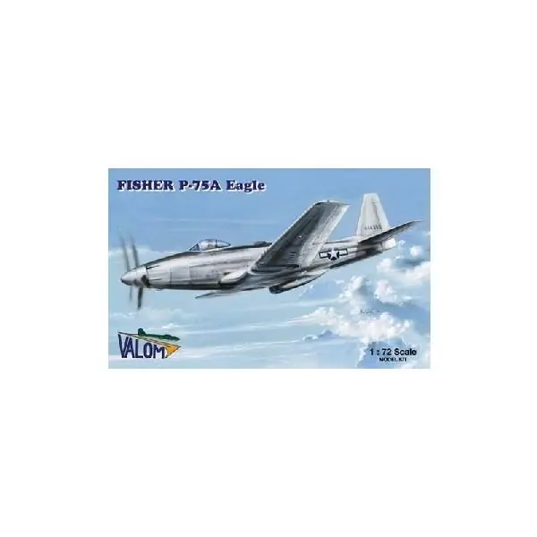 Solo Oggi FISHER P-75A EAGLE