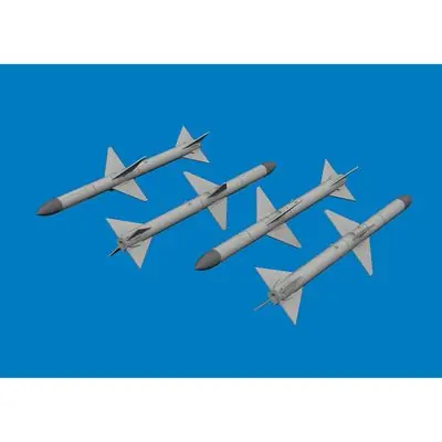 Promozione Esclusiva AIM-7M Sparrow Missile intercettatore aereo 1/48 - EDUARD BRASSIN 6481175